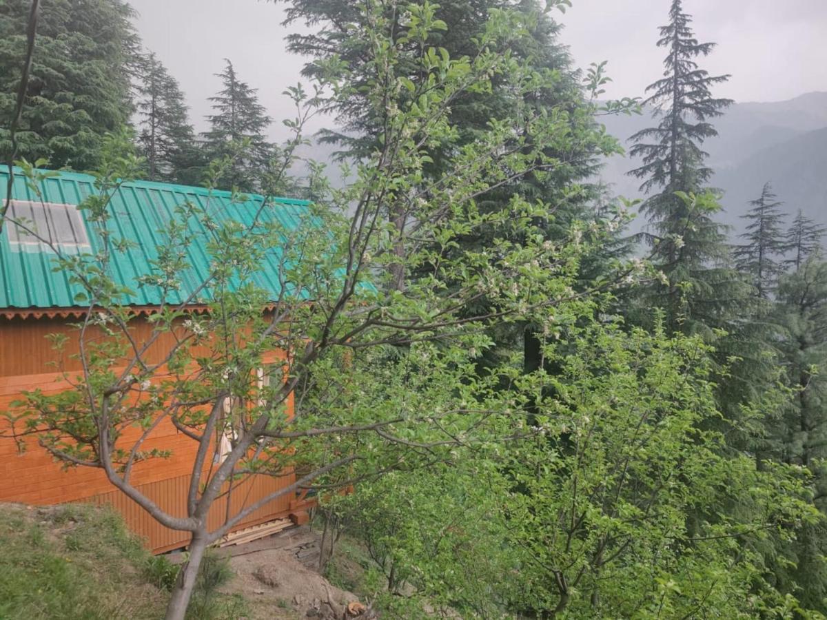 Отель Freebird Nest Jibhi Экстерьер фото