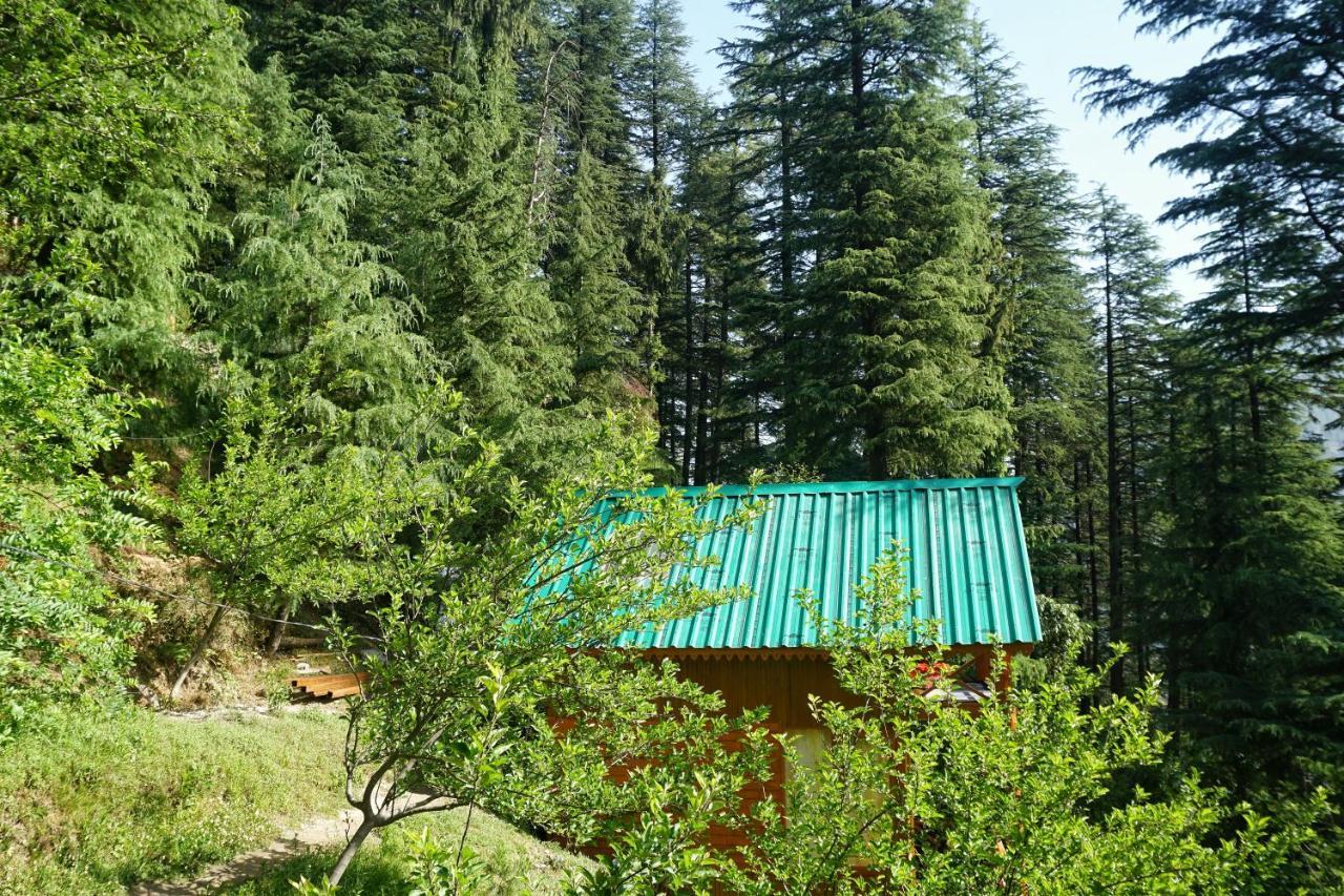 Отель Freebird Nest Jibhi Экстерьер фото